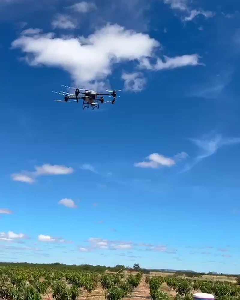 Drone agrícola em voo sobre área cultivada.
