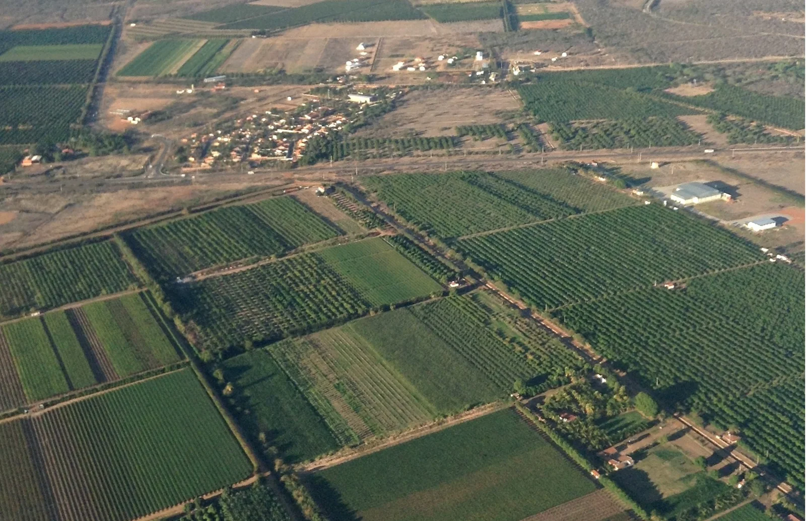 Vista aérea de talhões de fruticultura irrigada em Petrolina, Pernambuco.